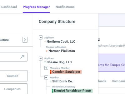 Company Structure Manager